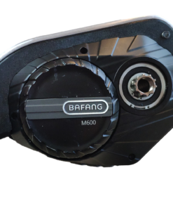 BF G2 to BF G1 product 8